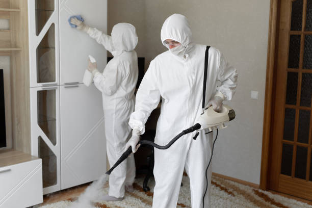 Best Commercial Mold Removal  in Calverton, MD