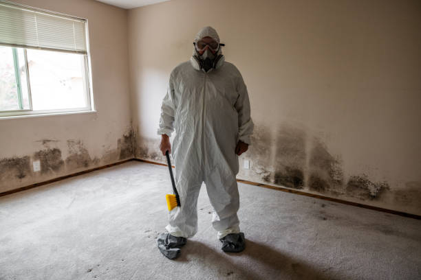 Best Crawl Space Mold Removal  in Calverton, MD